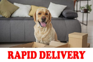 Household shifting near me Packers and Movers near me malls near me Udaipur Packers and Movers